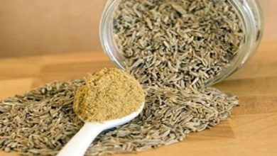 طرق التخلص من الكرش نهائيا بالأعشاب
