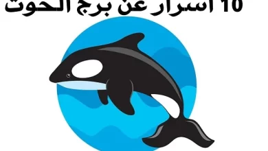معلومات عن برج الحوت