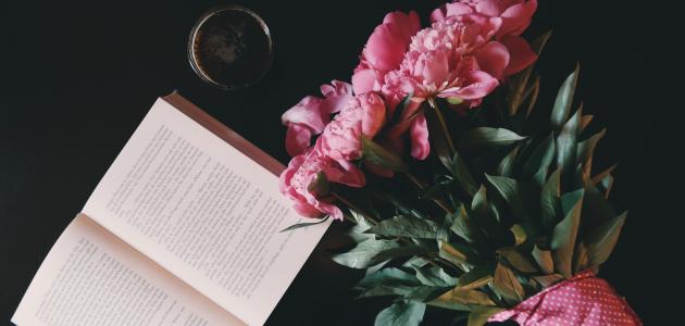 أجمل أبيات الغزل الفصيح وأجمل العبارات التي قيلت في الغزل