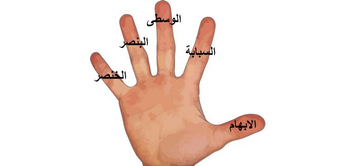 لماذا سميت السبابة بهذا الاسم؟ وماهي أسماء أصابع اليد ومعانيها؟