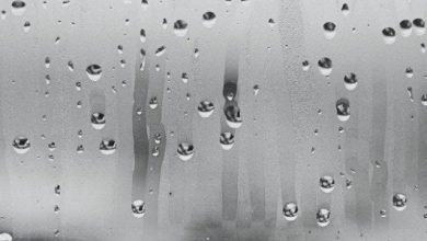 أكثر المدن رطوبة