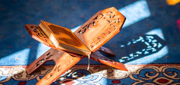مجموعة أمثلة على واو المعية .. وأمثلة على واو المعيّة من القرآن الكريم
