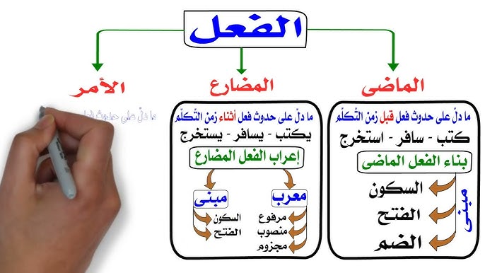 علامات إعراب الفعل الماضي بالتدريبات وشرح مبسط