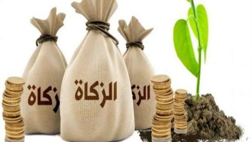 حكم إعطاء زكاة الفطر للأبناء ما هو .. وأحكام أخري متعلقة بدفع زكاة الفطر