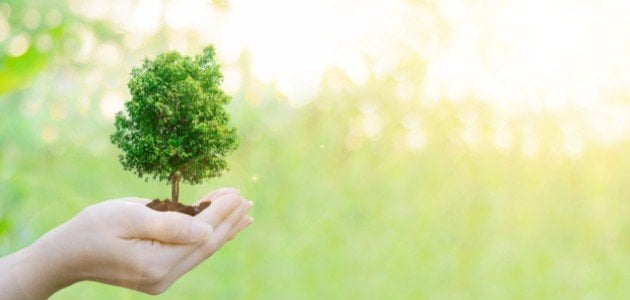 بحث حول الإدارة البيئية كامل بالمقدمه والخاتمه