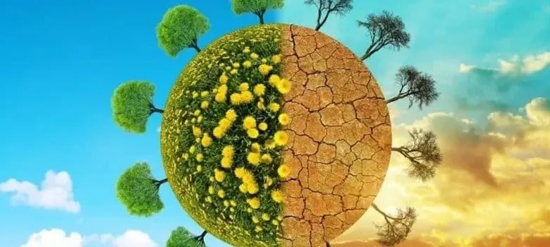 بحث عن البيئة النظيفة والبيئة الملوثة