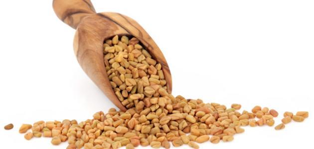 كيف أتناول الحلبة لزيادة الوزن .. أضرار شرب الحلبه