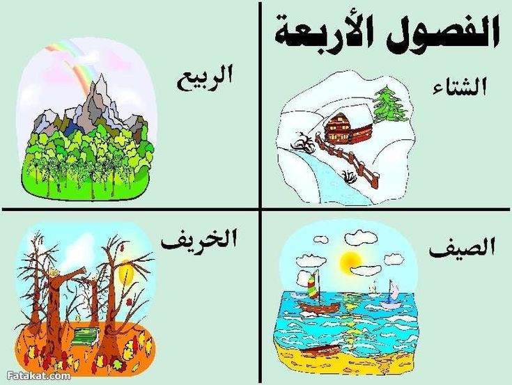 مجموعة معلومات عن الفصول الأربعة للأطفال .. ما هي خصائص فصول السنة الأربعة مناسبة للأطفال؟