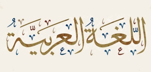 بحث عن الحذف والزيادة في اللغة العربية كامل العناصر