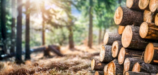بحث عن الموارد الطبيعية كامل العناصر جاهز للطباعه
