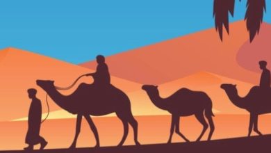 الهجرة