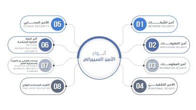 بحث عن الأمن السيبراني كامل العناصر