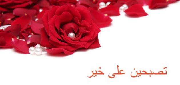 تصبحين على خير حبيبتي وأجمل العبارات قبل النوم للحبيبة : يسعد قلبي ويرقص طربًا قبل النوم لسماع صوتك أو رؤية وجهك، تصبحين على خير وسعادة