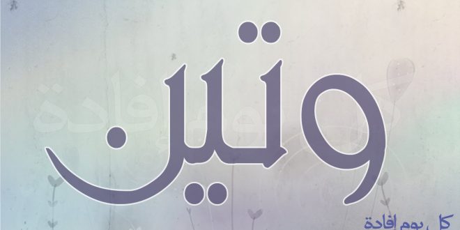تفسير اسم وتين في المنام لابن سيرين للرجل والمرأه