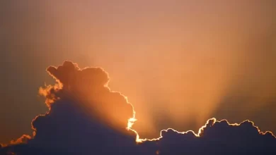 تفسير رؤية النبي يعقوب