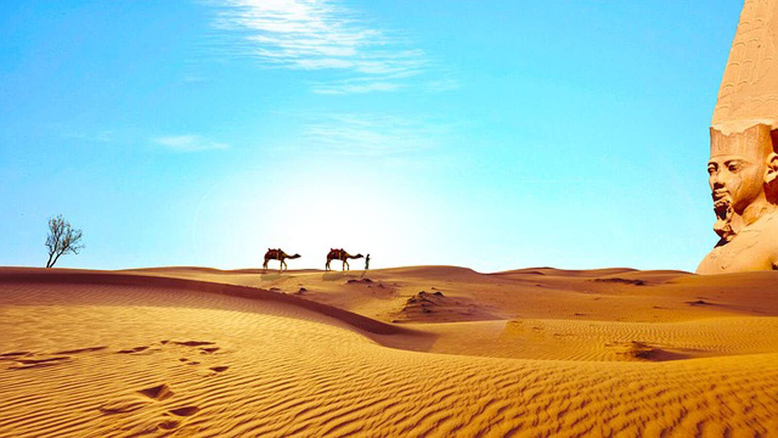 ما هي حضارة مصر القديمة وأصفها في شرح مبسط