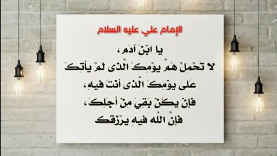 حكم الإمام علي عليه السلام
