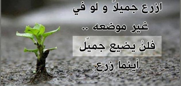 أجمل حكم قصيرة وجميلة جداً