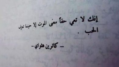 حكم قصيرة عن الحب