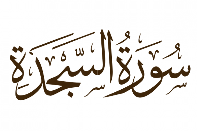 ما هي مقاصد سورة السجدة .. فضل سورة السجدة