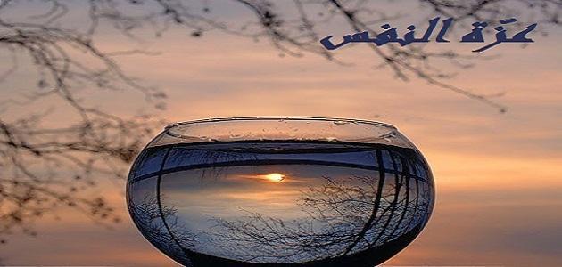 شعر عزة النفس جميل يصف صاحب العزة بالنفس