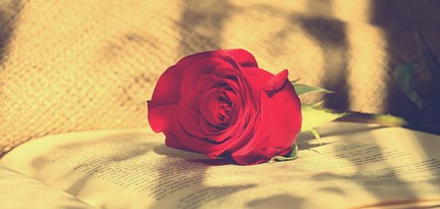 شعر عيد ميلاد حبيبي وأجمل العبارات في عيد ميلاد حبيبي مع أجمل وأرق الصور