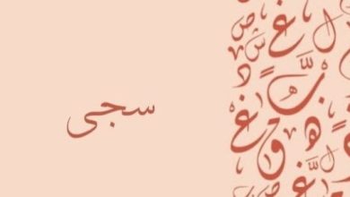 صفات شخصية حاملة اسم سجى