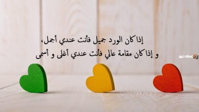 عبارات الحب والغزل