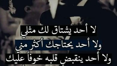 عبارات جميلة عن الحب بالصور