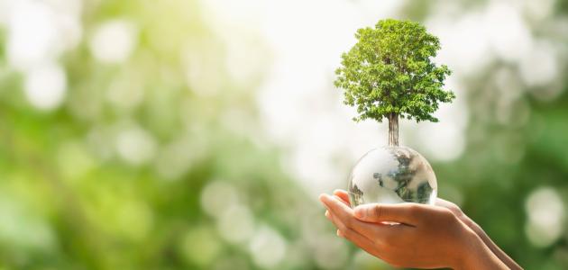 عبارات عن الحياة 2025 عبارات عن الحياة قصيرة : من يحب الحياة تحبه، ولا تعرف الحياة غير لغتان وهما الصدق والتعاطف