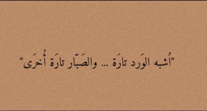 عبارات قوية قصيرة ومميزة
