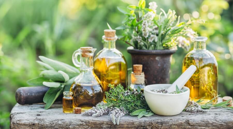أفضل وصفات علاج البلهارسيا بالأعشاب والطرق الطبيعية