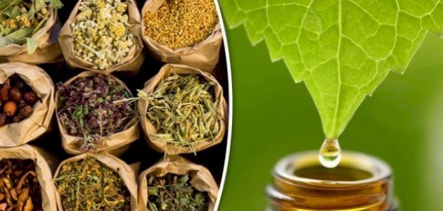 تعرف على افضل وصفات لـ علاج تساقط الشعر بالأعشاب