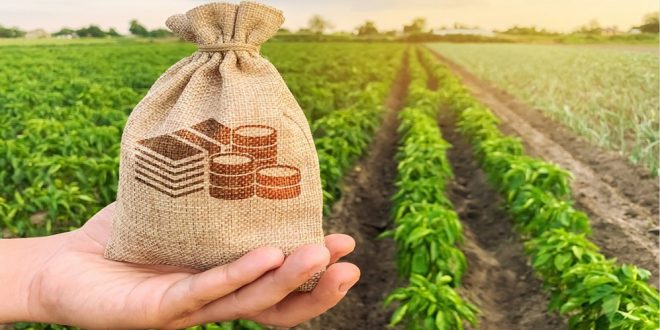 ما هي فروع علم الاقتصاد الزراعي.. ما العلاقة بين الزراعة والاقتصاد؟
