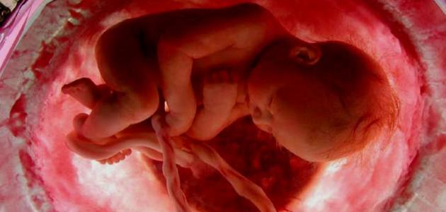 على ماذا تدل كثرة حركة الجنين وما هي علامات صحته الجيدة .. مخاطر كثرة حركة الجنين في الرحم
