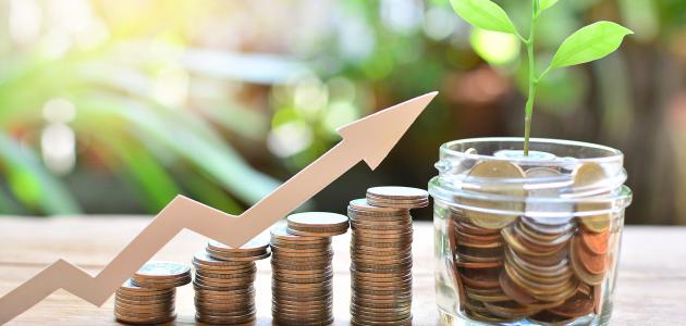 كيف تحسب فائدة البنك؟ وأي البنوك فائدته أفضل في مصر؟