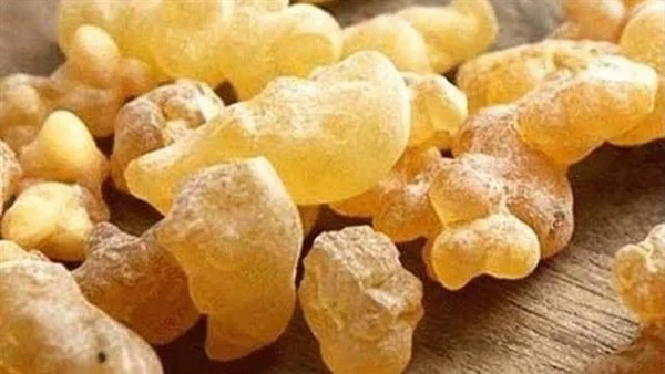 جميع فوائد اللبان الدكرتعرف عليها