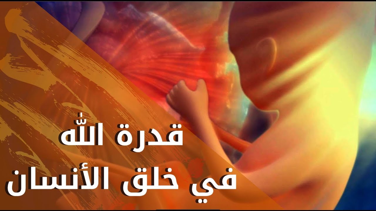 ما هي قدرة الله في خلق الإنسان وماهو التدرج في خلق الإنسان