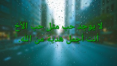 كلام جميل عن الاخ مميز وجديد