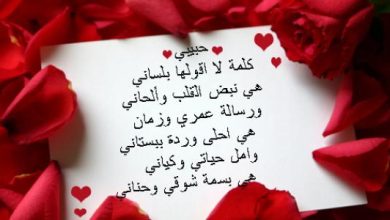 كلام حب ❤ لحبيبتي قصير