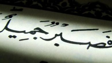 كلام حلو قصير