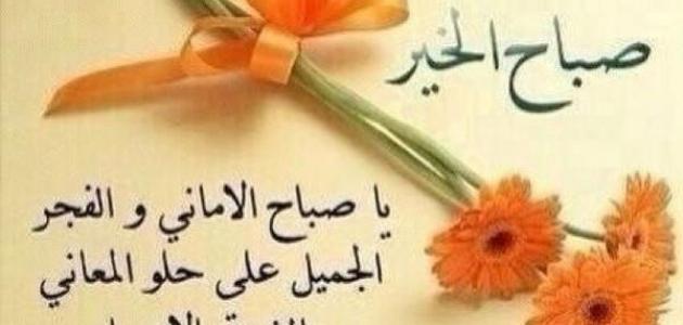 كلام حلو للحبيب في الصباح : يا أعز إنسان في العالم صباح الأمل والتفاؤل مع وجودك، أشعر أن كل شيء ممكن وأن الحياة مليئة بالفرص الجميلة أنت شمس صباحي والأماني المحققة.