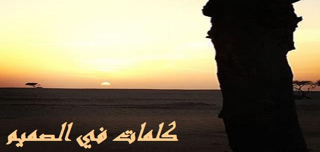 كلام في الصميم قصير 2025 عبارات عميقة من القلب : إن كل ما يحتاج له الإنسان هو الشعور بغيره فالحياة لم تسير على اهواءنا طوال الوقت