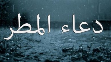 كلمات جميلة عن المطر في جُمل معبرة