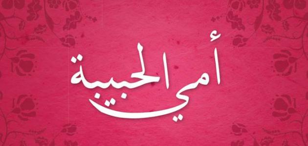 مجموعة كلمات جميلة ومميزة عن الأم : الام ليست مثل أي شخص في العالم فأنها لا تعرف شروط عند الامر الذي يتعلق بأبنائها .