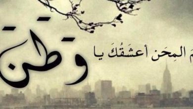 كلمة عن الوطن جميلة
