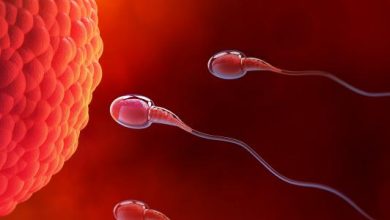 كيف تحمل المرأة من الرجل