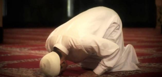 تعرف على كيفية أداء صلاة الظهر
