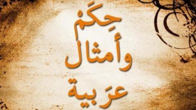 مجموعة حكم