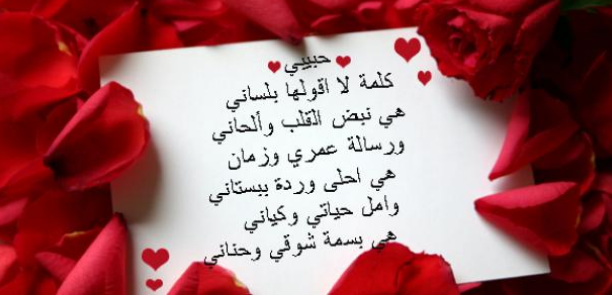 أجمل غزل لابن فطيس والشرح المبسط له